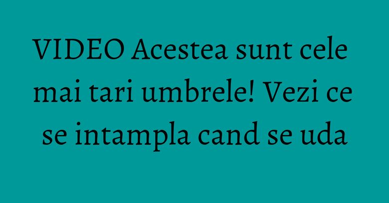VIDEO Acestea sunt cele mai tari umbrele! Vezi ce se intampla cand se uda VIDEO Acestea sunt cele mai tari umbrele! Vezi ce se intampla cand se uda