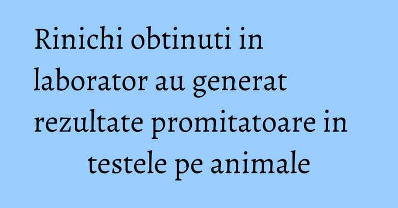 Rinichi obtinuti in laborator au generat rezultate promitatoare in testele pe animale Rinichi obtinuti in laborator au generat rezultate promitatoare in testele pe animale