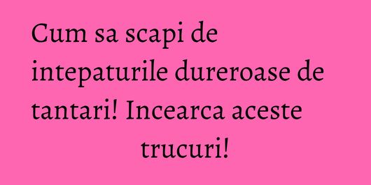 Cum sa scapi de intepaturile dureroase de tantari! Incearca aceste trucuri!