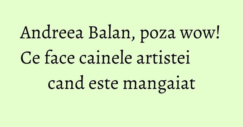 Andreea Balan, poza wow! Ce face cainele artistei cand este mangaiat Andreea Balan, poza wow! Ce face cainele artistei cand este mangaiat