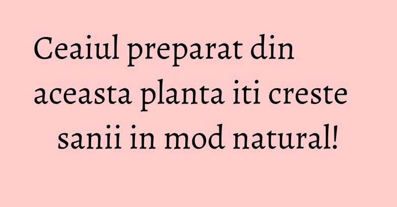 Ceaiul preparat din aceasta planta iti creste sanii in mod natural! Ceaiul preparat din aceasta planta iti creste sanii in mod natural!