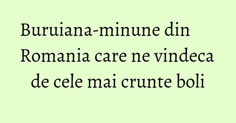 Buruiana-minune din Romania care ne vindeca de cele mai crunte boli Buruiana-minune din Romania care ne vindeca de cele mai crunte boli