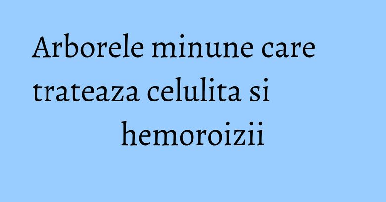 Arborele minune care trateaza celulita si hemoroizii Arborele minune care trateaza celulita si hemoroizii