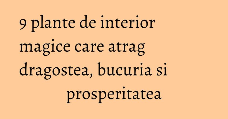 9 plante de interior magice care atrag dragostea, bucuria si prosperitatea
