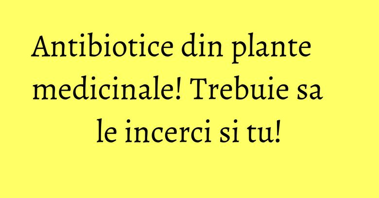 Antibiotice din plante medicinale! Trebuie sa le incerci si tu!