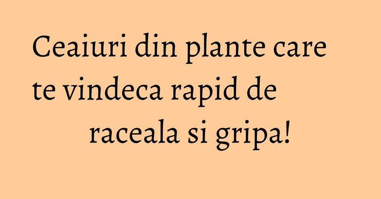 Ceaiuri din plante care te vindeca rapid de raceala si gripa!