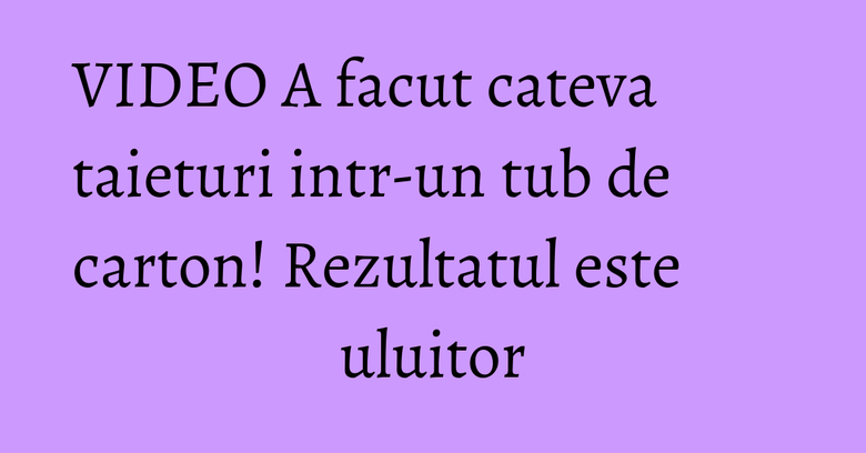 VIDEO A facut cateva taieturi intr-un tub de carton! Rezultatul este uluitor