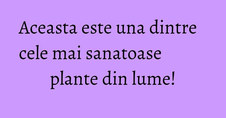 Aceasta este una dintre cele mai sanatoase plante din lume! Aceasta este una dintre cele mai sanatoase plante din lume!