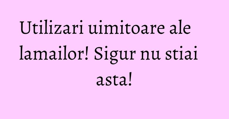 Utilizari uimitoare ale lamailor! Sigur nu stiai asta!