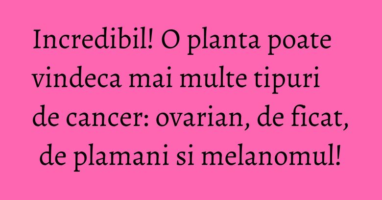 Incredibil! O planta poate vindeca mai multe tipuri de cancer: ovarian, de ficat, de plamani si melanomul!