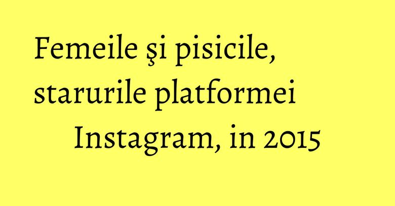 Femeile şi pisicile, starurile platformei Instagram, in 2015 Femeile şi pisicile, starurile platformei Instagram, in 2015