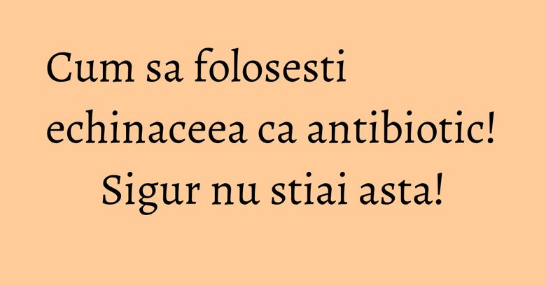 Cum sa folosesti echinaceea ca antibiotic! Sigur nu stiai asta! Cum sa folosesti echinaceea ca antibiotic! Sigur nu stiai asta!