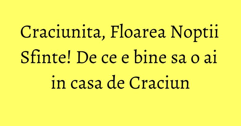 Craciunita, Floarea Noptii Sfinte! De ce e bine sa o ai in casa de Craciun Craciunita, Floarea Noptii Sfinte! De ce e bine sa o ai in casa de Craciun