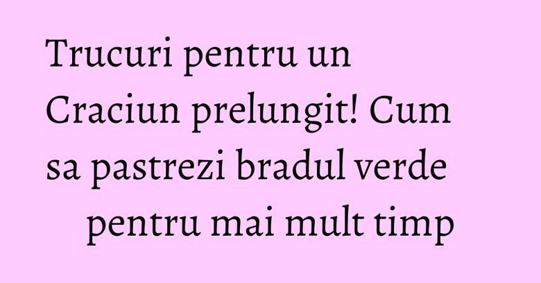Trucuri pentru un Craciun prelungit! Cum sa pastrezi bradul verde pentru mai mult timp Trucuri pentru un Craciun prelungit! Cum sa pastrezi bradul verde pentru mai mult timp