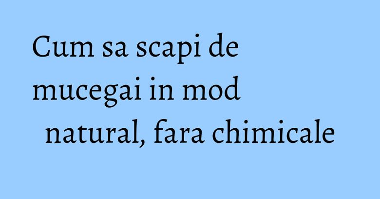 Cum sa scapi de mucegai in mod natural, fara chimicale Cum sa scapi de mucegai in mod natural, fara chimicale