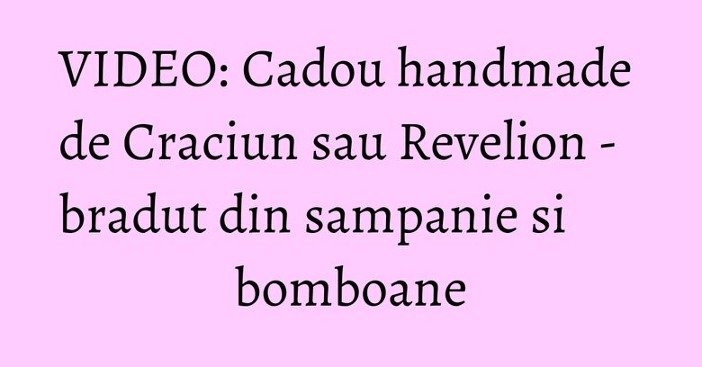 VIDEO: Cadou handmade de Craciun sau Revelion - bradut din sampanie si bomboane