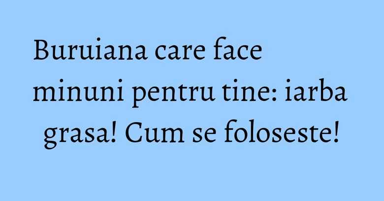 Buruiana care face minuni pentru tine: iarba grasa! Cum se foloseste!