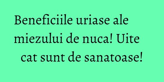 Beneficiile uriase ale miezului de nuca! Uite cat sunt de sanatoase!