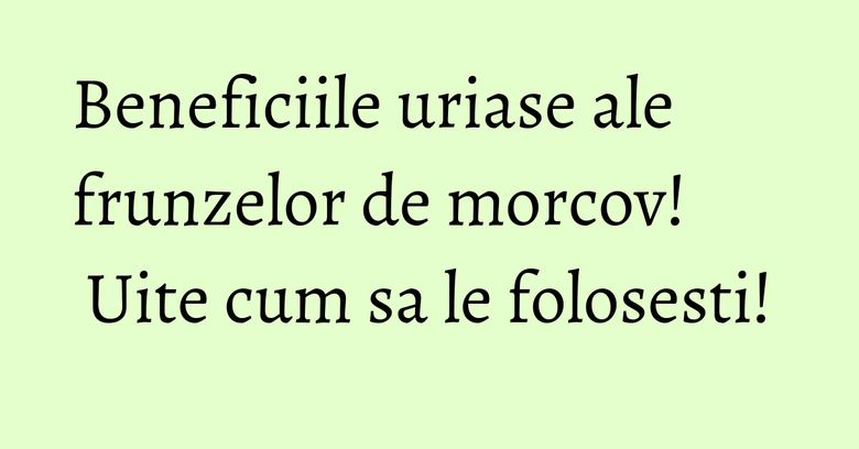 Beneficiile uriase ale frunzelor de morcov! Uite cum sa le folosesti! Beneficiile uriase ale frunzelor de morcov! Uite cum sa le folosesti!