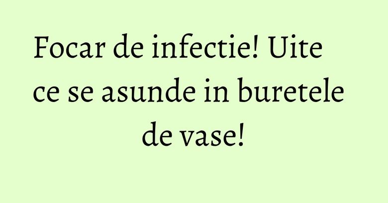 Focar de infectie! Uite ce se asunde in buretele de vase! Focar de infectie! Uite ce se asunde in buretele de vase!