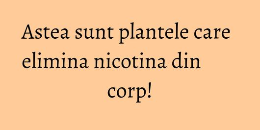 Astea sunt plantele care elimina nicotina din corp!