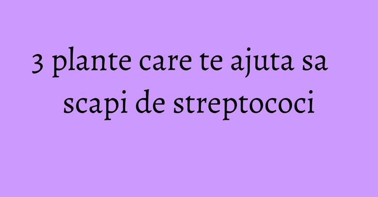 3 plante care te ajuta sa scapi de streptococi 3 plante care te ajuta sa scapi de streptococi