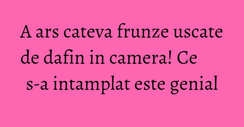 A ars cateva frunze uscate de dafin in camera! Ce s-a intamplat este genial A ars cateva frunze uscate de dafin in camera! Ce s-a intamplat este genial