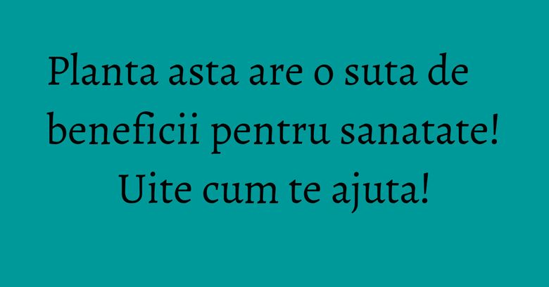 Planta asta are o suta de beneficii pentru sanatate! Uite cum te ajuta! Planta asta are o suta de beneficii pentru sanatate! Uite cum te ajuta!