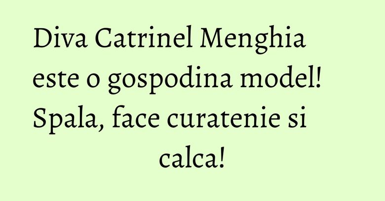 Diva Catrinel Menghia este o gospodina model! Spala, face curatenie si calca! Diva Catrinel Menghia este o gospodina model! Spala, face curatenie si calca!