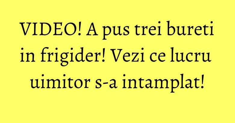 VIDEO! A pus trei bureti in frigider! Vezi ce lucru uimitor s-a intamplat!