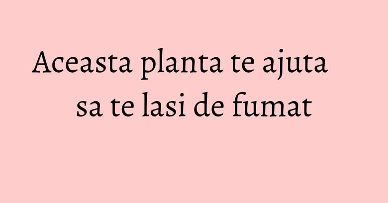 Aceasta planta te ajuta sa te lasi de fumat Aceasta planta te ajuta sa te lasi de fumat