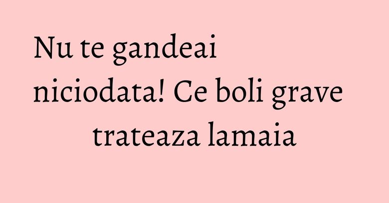 Nu te gandeai niciodata! Ce boli grave trateaza lamaia Nu te gandeai niciodata! Ce boli grave trateaza lamaia
