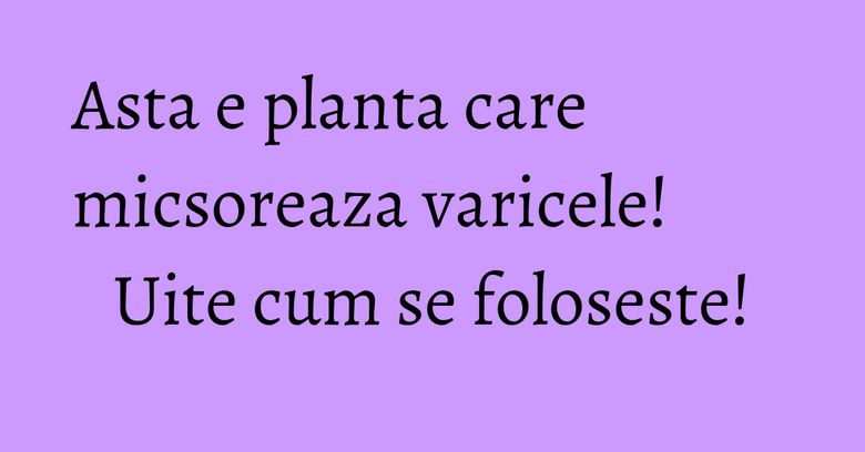 Asta e planta care micsoreaza varicele! Uite cum se foloseste! Asta e planta care micsoreaza varicele! Uite cum se foloseste!
