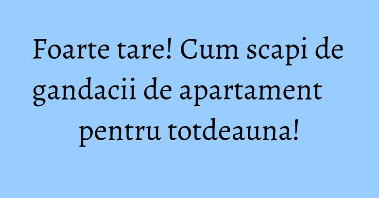 Foarte tare! Cum scapi de gandacii de apartament pentru totdeauna! Foarte tare! Cum scapi de gandacii de apartament pentru totdeauna!
