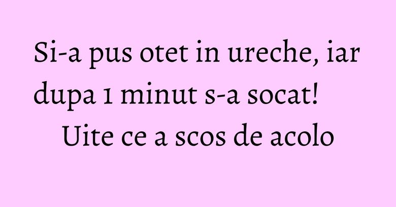 Si-a pus otet in ureche, iar dupa 1 minut s-a socat! Uite ce a scos de acolo