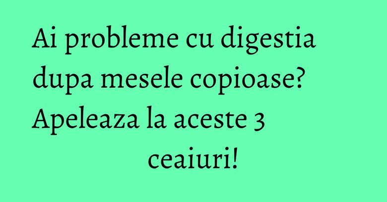 Ai probleme cu digestia dupa mesele copioase? Apeleaza la aceste 3 ceaiuri! Ai probleme cu digestia dupa mesele copioase? Apeleaza la aceste 3 ceaiuri!