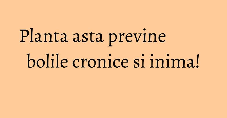 Planta asta previne bolile cronice si inima!