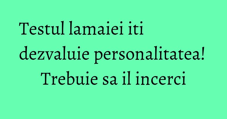 Testul lamaiei iti dezvaluie personalitatea! Trebuie sa il incerci