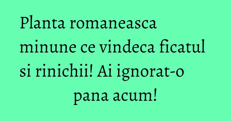 Planta romaneasca minune ce vindeca ficatul si rinichii! Ai ignorat-o pana acum! Planta romaneasca minune ce vindeca ficatul si rinichii! Ai ignorat-o pana acum!