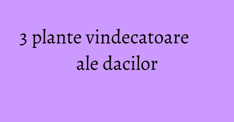 3 plante vindecatoare ale dacilor