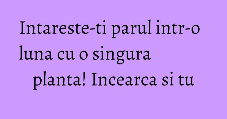 Intareste-ti parul intr-o luna cu o singura planta! Incearca si tu