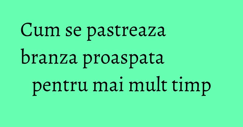 Cum se pastreaza branza proaspata pentru mai mult timp Cum se pastreaza branza proaspata pentru mai mult timp