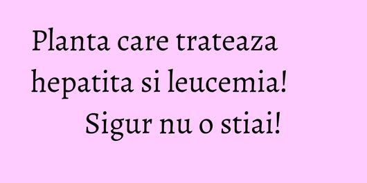 Planta care trateaza hepatita si leucemia! Sigur nu o stiai!
