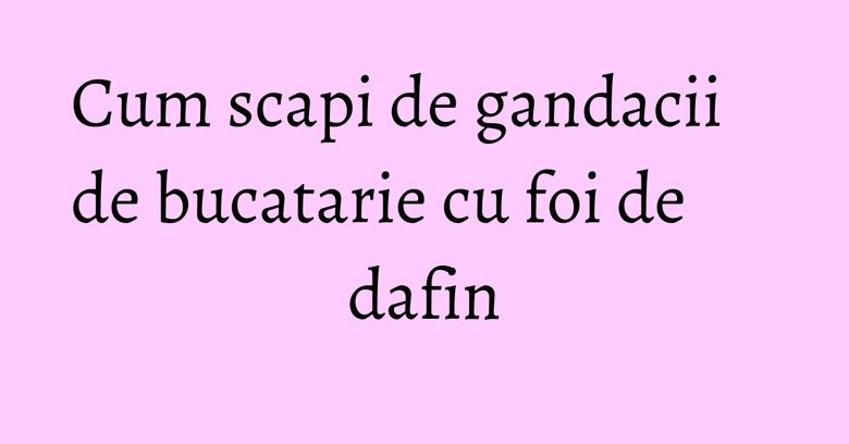 Cum scapi de gandacii de bucatarie cu foi de dafin