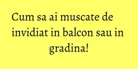 Cum sa ai muscate de invidiat in balcon sau in gradina!