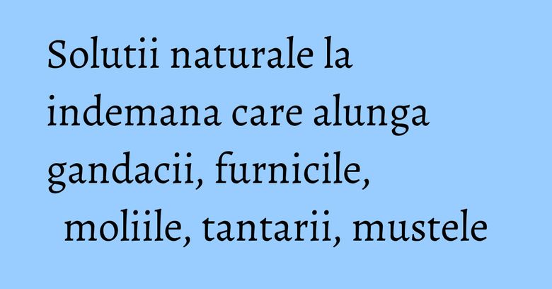 Solutii naturale la indemana care alunga gandacii, furnicile, moliile, tantarii, mustele Solutii naturale la indemana care alunga gandacii, furnicile, moliile, tantarii, mustele