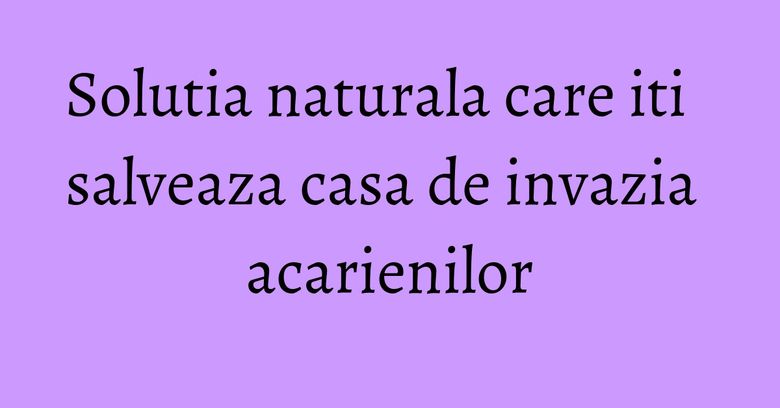 Solutia naturala care iti salveaza casa de invazia acarienilor Solutia naturala care iti salveaza casa de invazia acarienilor