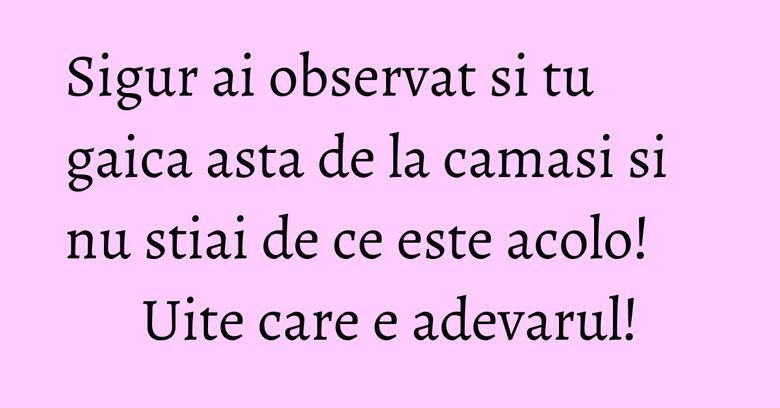 Sigur ai observat si tu gaica asta de la camasi si nu stiai de ce este acolo! Uite care e adevarul! Sigur ai observat si tu gaica asta de la camasi si nu stiai de ce este acolo! Uite care e adevarul!