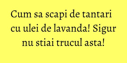 Cum sa scapi de tantari cu ulei de lavanda! Sigur nu stiai trucul asta!