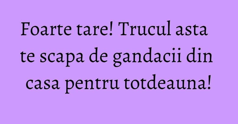Foarte tare! Trucul asta te scapa de gandacii din casa pentru totdeauna!